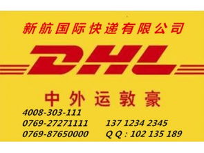 專業高效，鏈接全球 企石DHL快遞服務與南城新航貨運倉儲解決方案